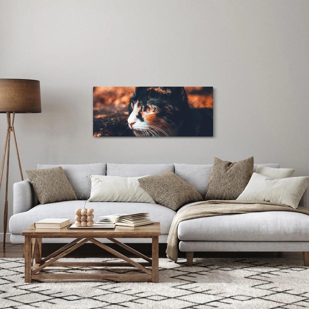Kép - A macska látképe (120x50 cm)