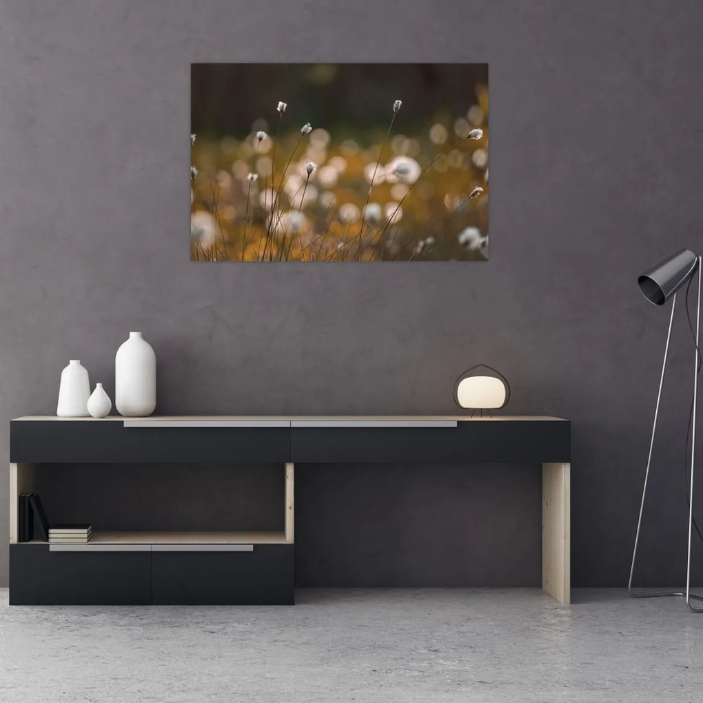 Kép - Gyapotfűvel borított rét N⁰2 (90x60 cm)