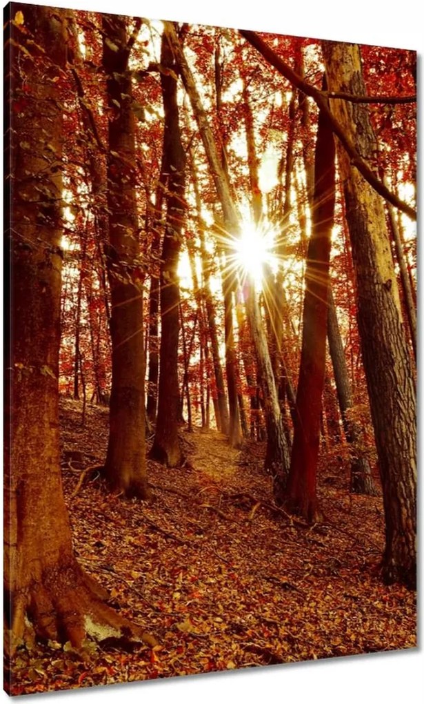 Vászonkép 70x100 Tájkép Látvány