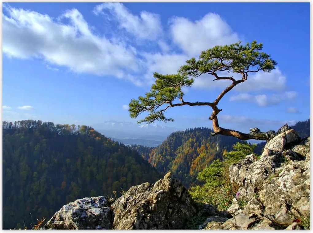 Poszterek 135x100 Tájképek Kilátások Tájképek