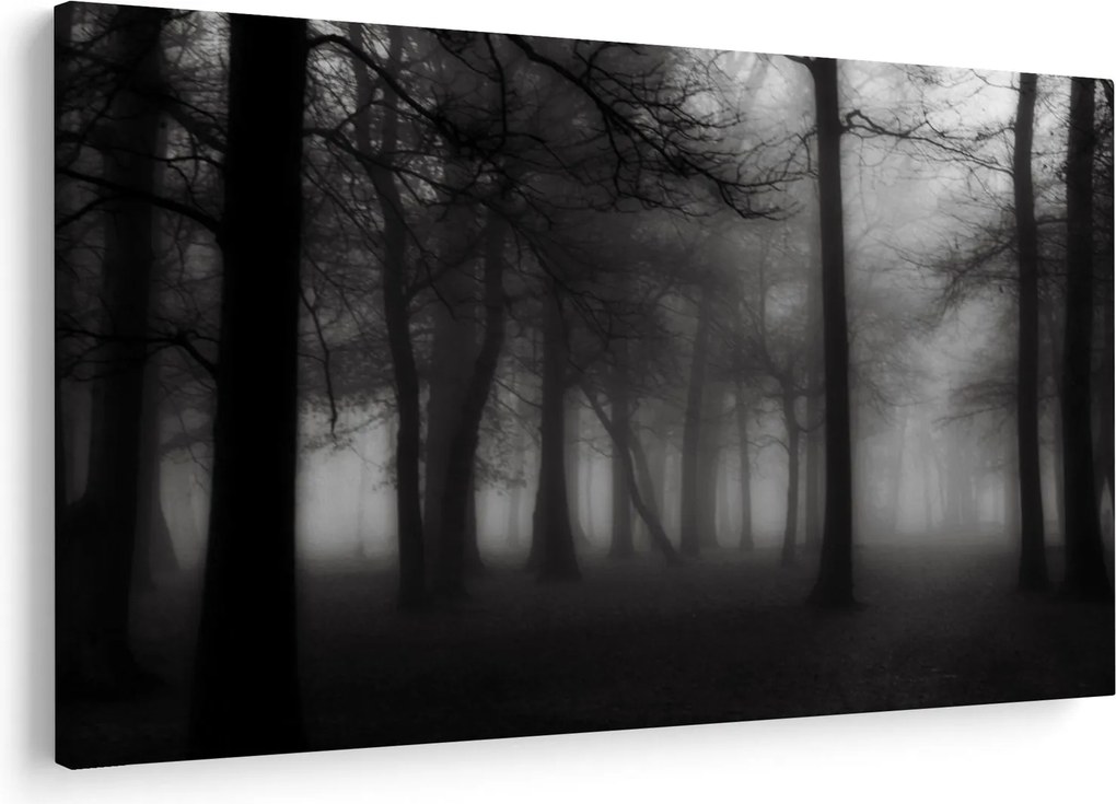 Kép - erdő a ködben (90x60 cm)
