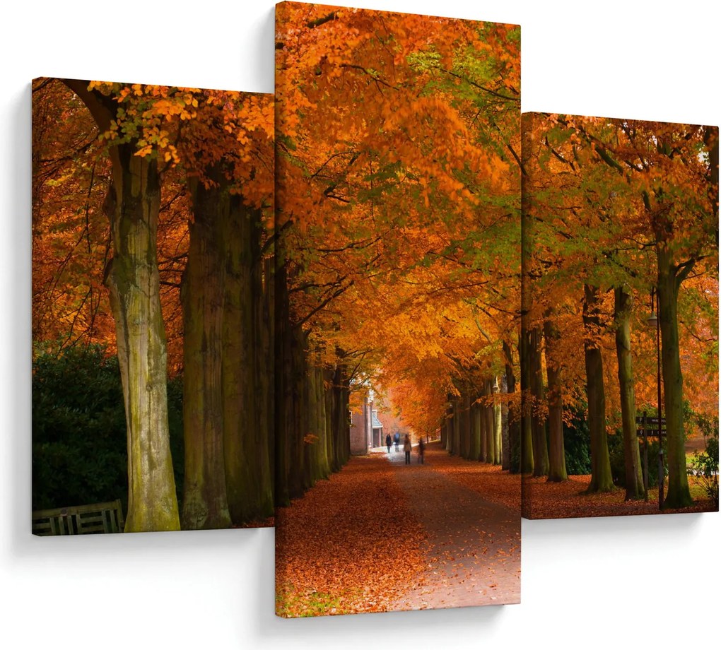 Kép - A Avenue of fák ősszel (90x60 cm)