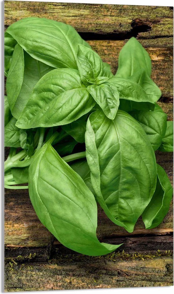 Üveg Vágódeszka 30x52 Bazsalikom a Konyhába