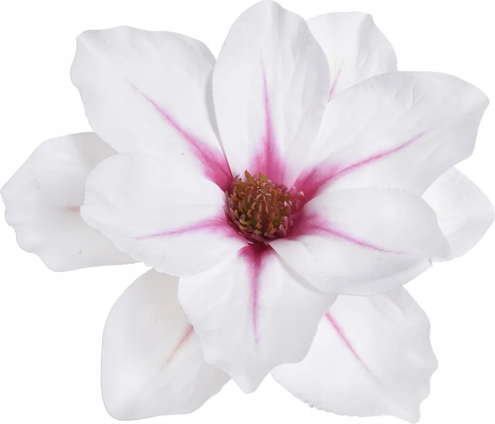 Magnólia Fej Élő Mágnólia Virágok művirág Gumi -na