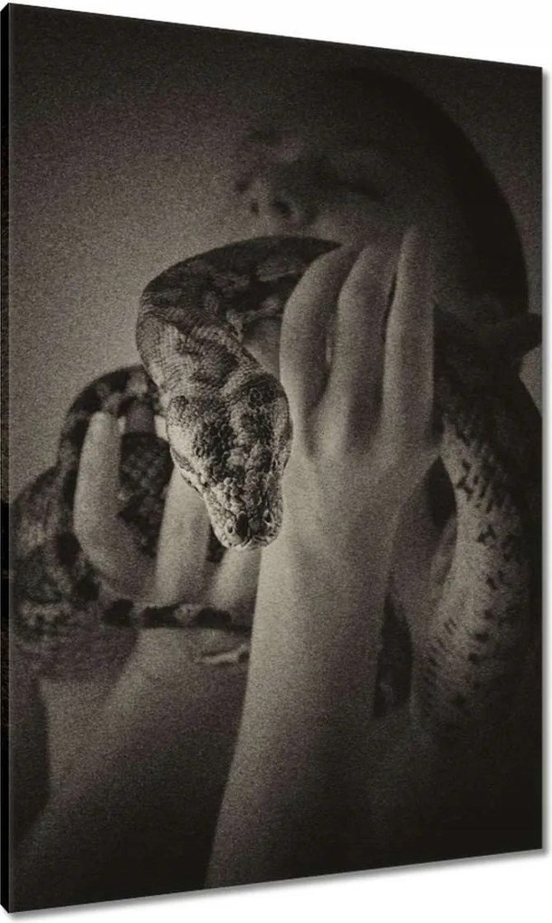 Vászonkép 70x100 Aktok Meztelenség Szerelem Fotó