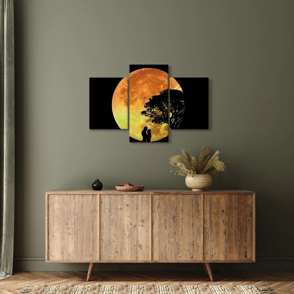 Árnyékok a holdfényben képe (90x60 cm)