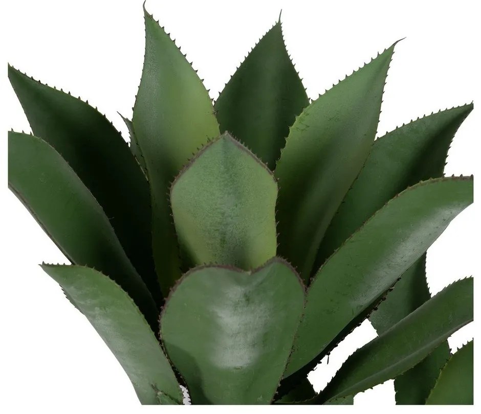 Műnövény (magasság 120 cm) Agave – Ixia