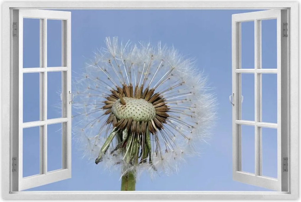 Poszterek 90x60 Pitypang Virág Virágok