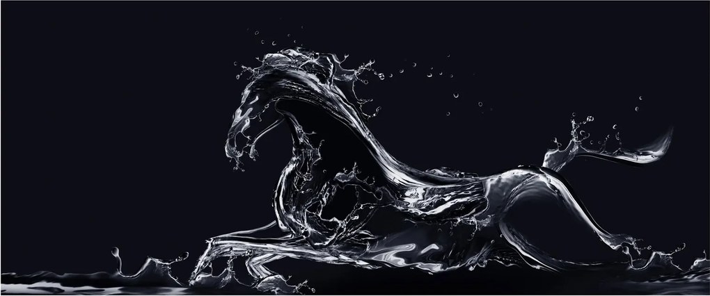 Kép - Ló és a víz (120x50 cm)