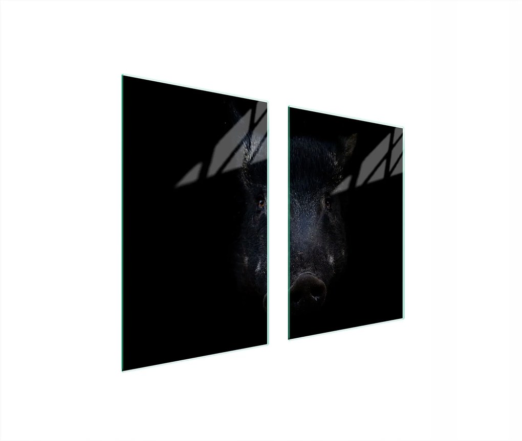 Üveg Konyhai Védőlap 65x52 Vaddisznó Edzett Üveg