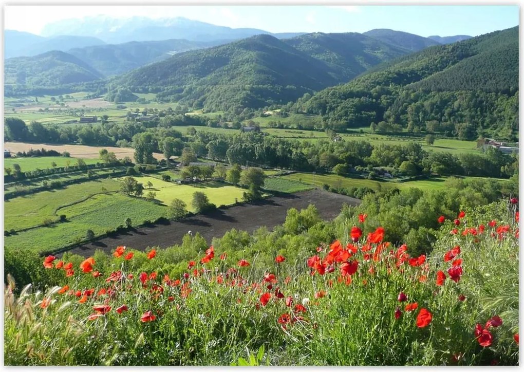 Poszterek 100x70 Virágos kilátás a hegyekben