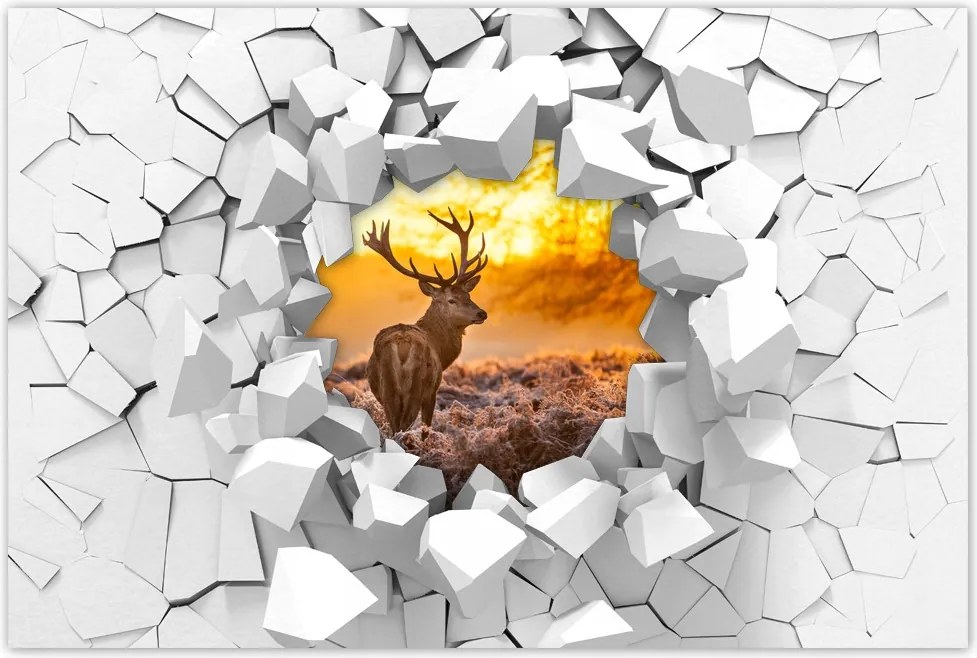 Poszterek 60x40 Szarvas naplementekor