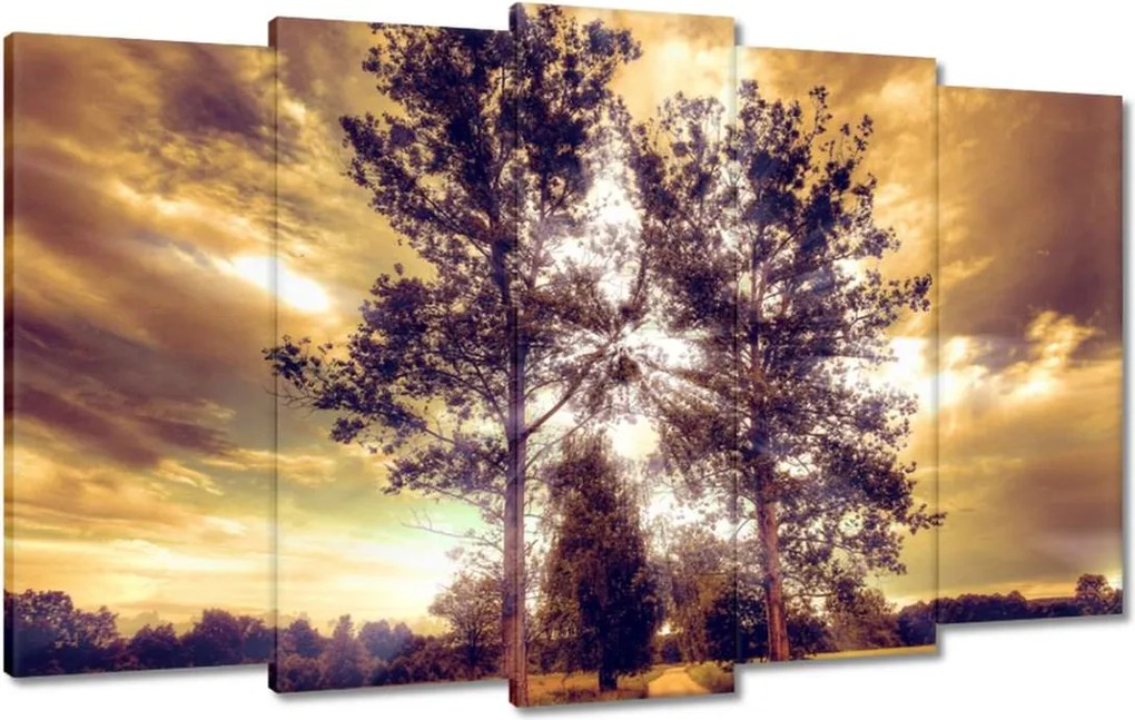 Festmények 100x60 Vidéki tájkép úttal