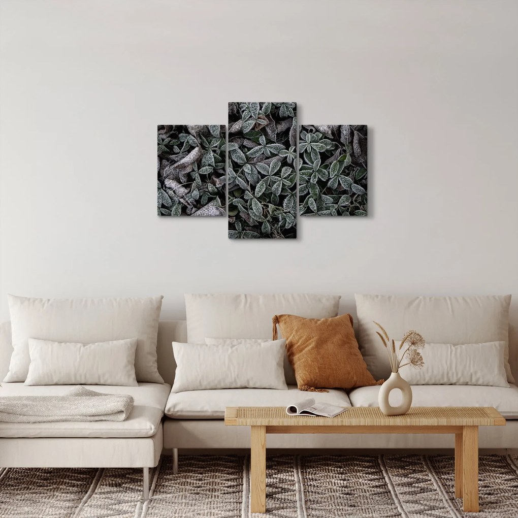Kép - Fagyasztott növények (90x60 cm)