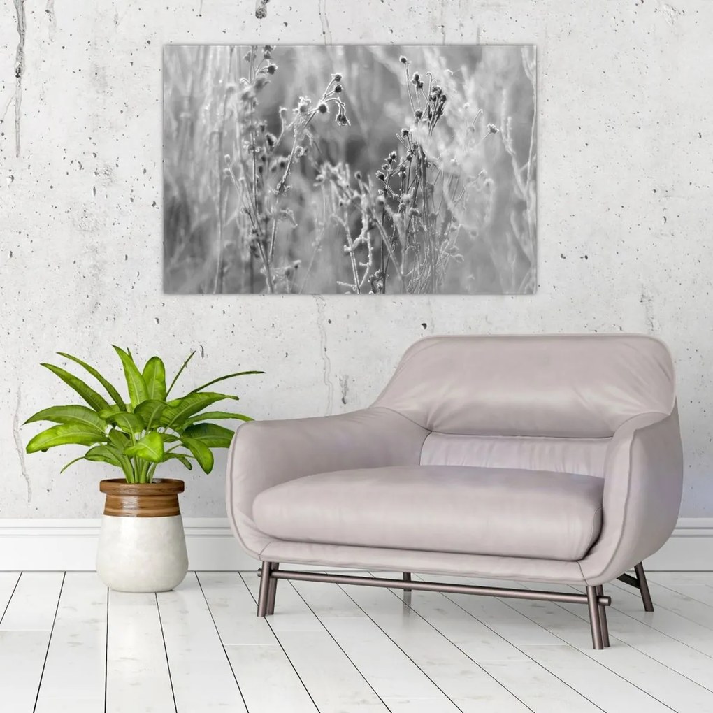 Kép - Wild Meadow (90x60 cm)
