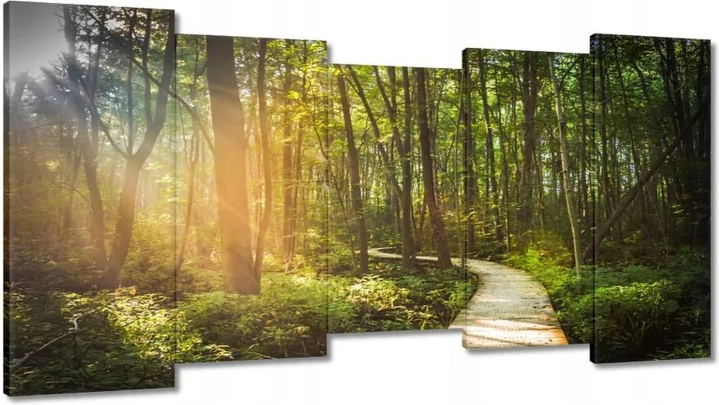 Képek 150x80 Napsugár a sétán