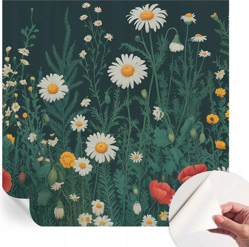 Dekoratív öntapadós fotótapéta Hálószobába Mezei virágok 250x250 cm