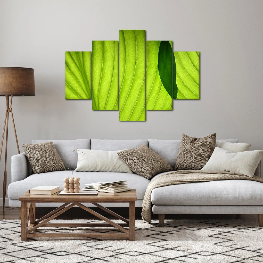 Kép - Zöld levél részlete (150x105 cm)