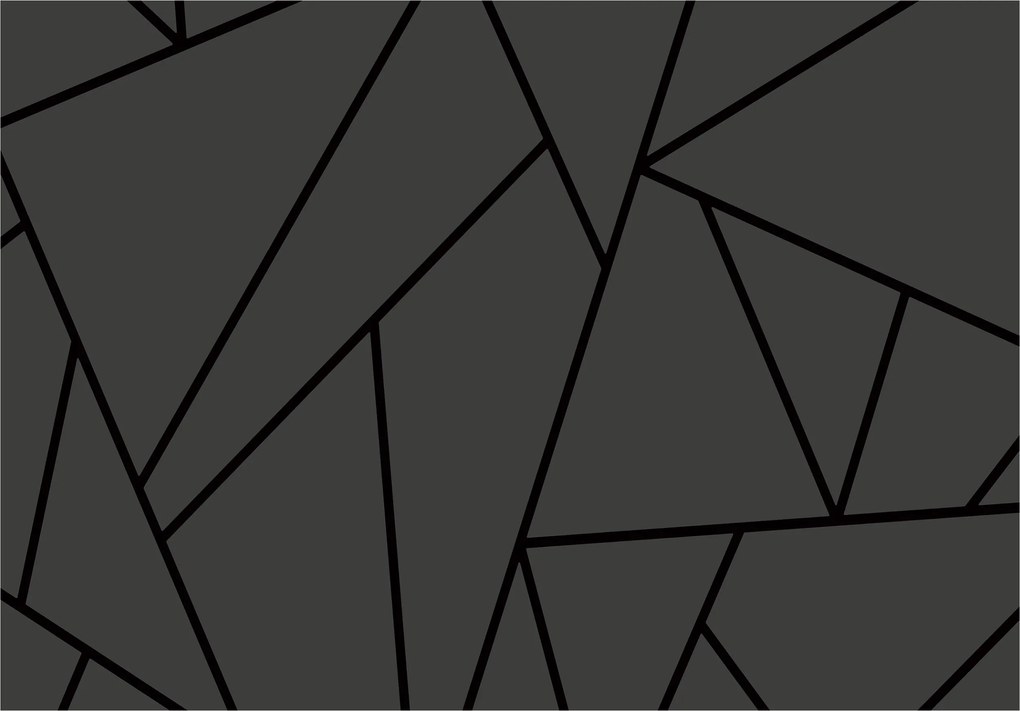Fotótapéta Geometria vonalak fekete-szürke figurák a nappaliba 416x254 +ragasztó