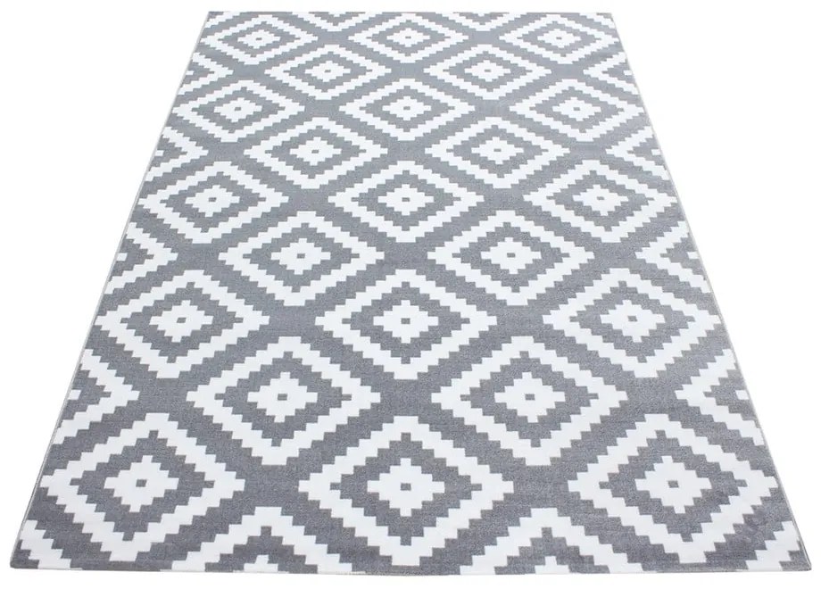 Világosszürke szőnyeg 160x230 cm Plus – Ayyildiz Carpets