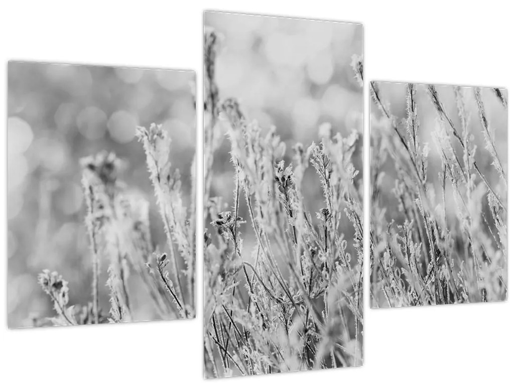 Kép - Hideg tél (90x60 cm)