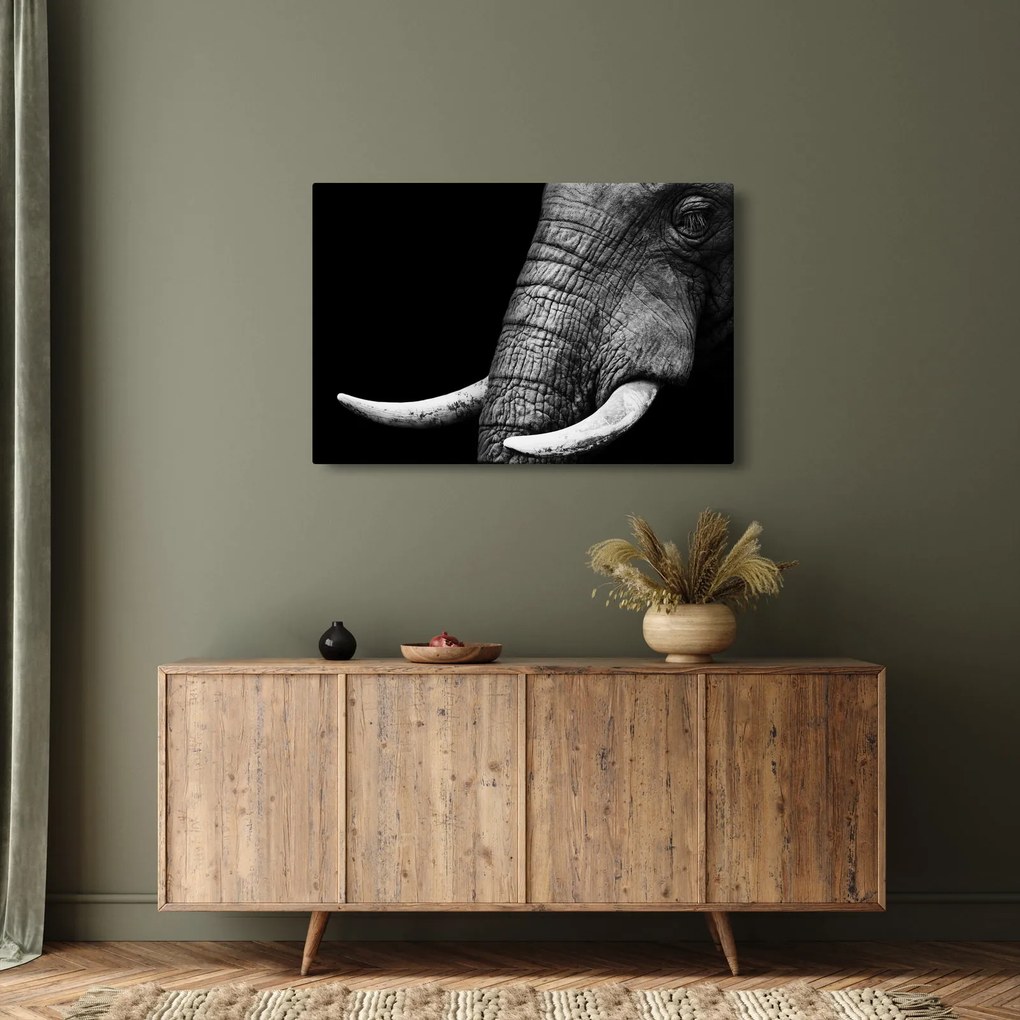 Kép - Elefánt agyar (90x60 cm)
