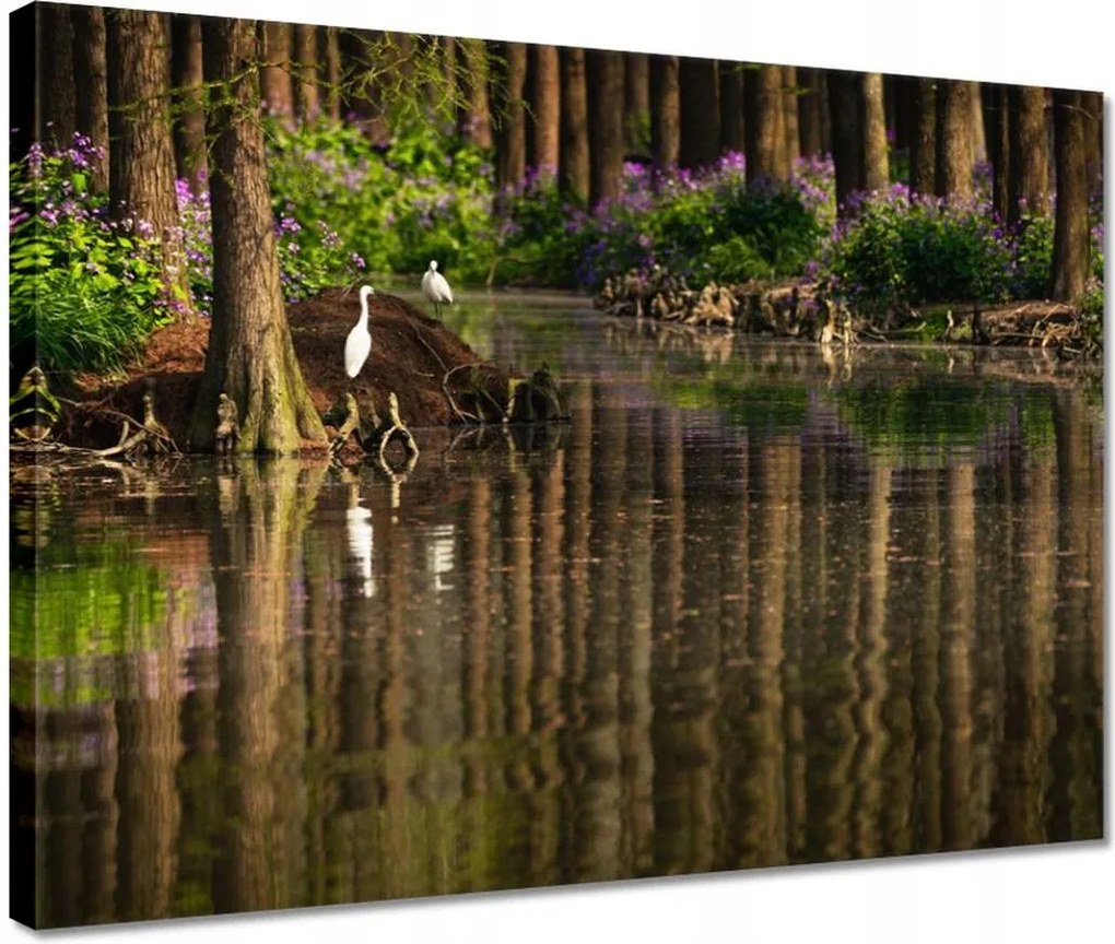 Vászonkép 40x30 Tájkép Látvány