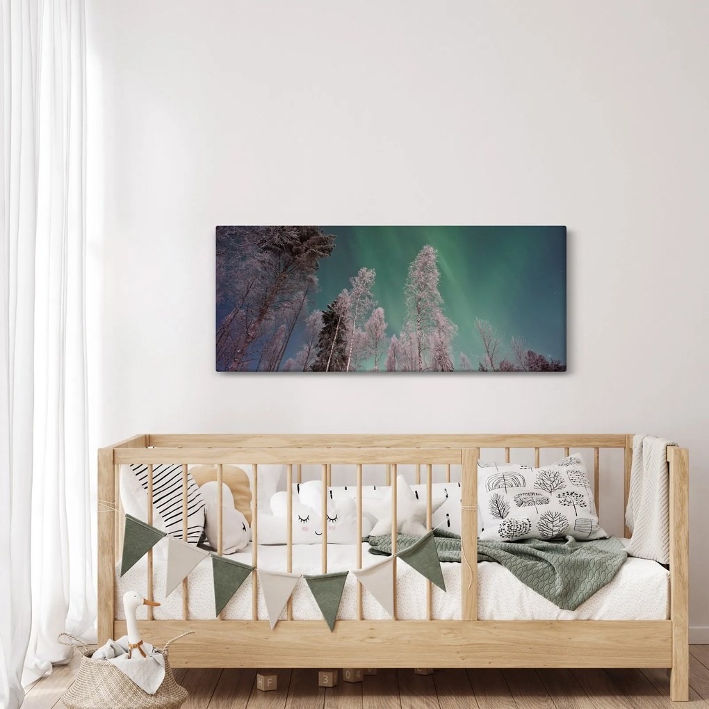 Az aurora borealis képe fagyos fák felett (120x50 cm)