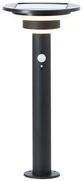 Brilliant - LED Napelemes lámpa érzékelővel GARVINA LED/3W/3,7V 45 cm IP44 fekete