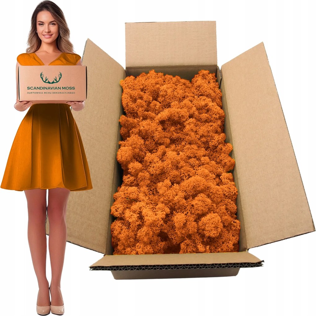 Rénszarvas moha norvég dekoratív élő dísz Őszi 500g