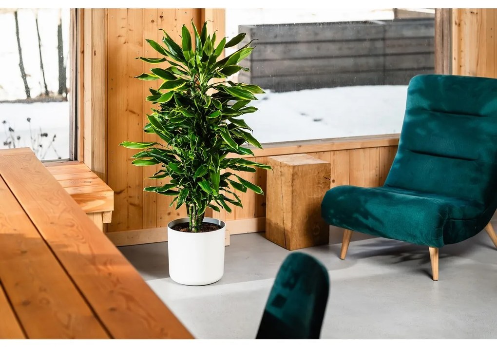 Gardenico Lora virágcserép  fehér, átmérő 35 cm , 35 cm átmérőjű