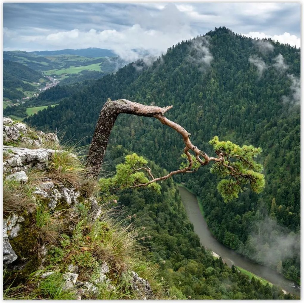 Poszterek 70x70 Tájkép Sólyomkő