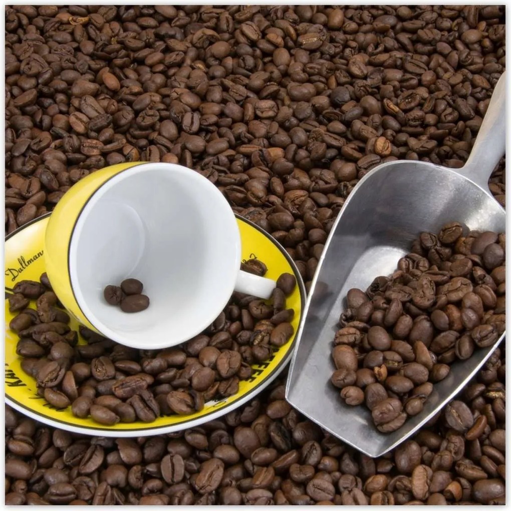 Poszterek 30x30 Természetes kávé szemes