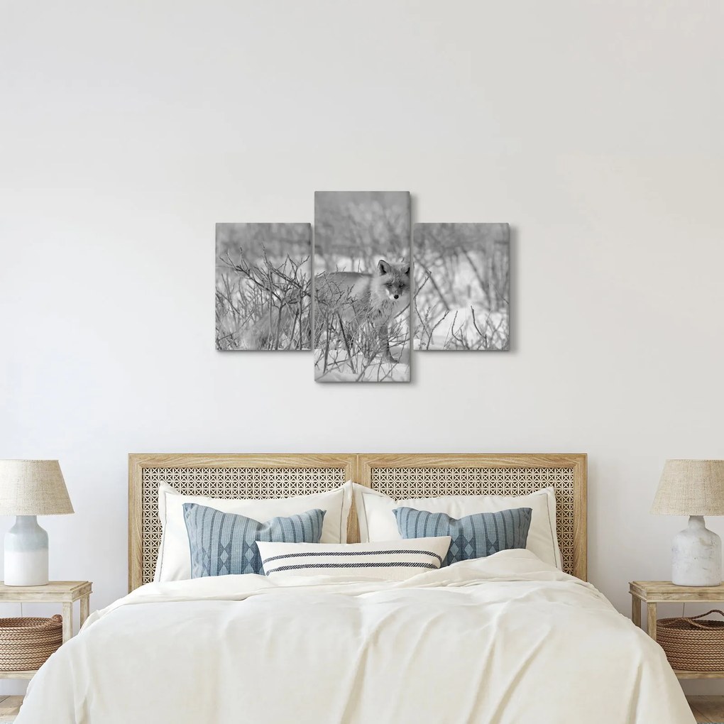 Kép - Róka, fekete, fehér (90x60 cm)