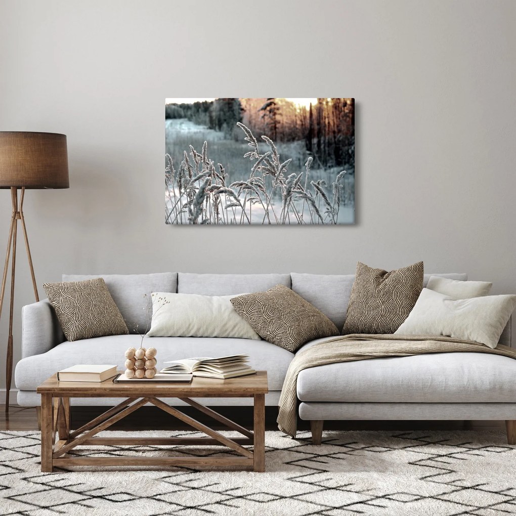 Kép - Fagyott rét (90x60 cm)