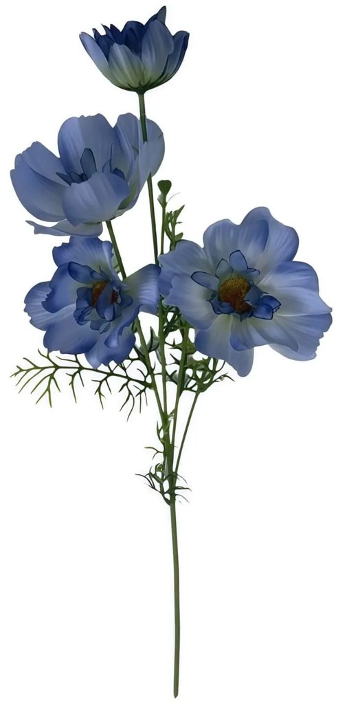 Kék mű cosmos (pillangóvirág) 80cm