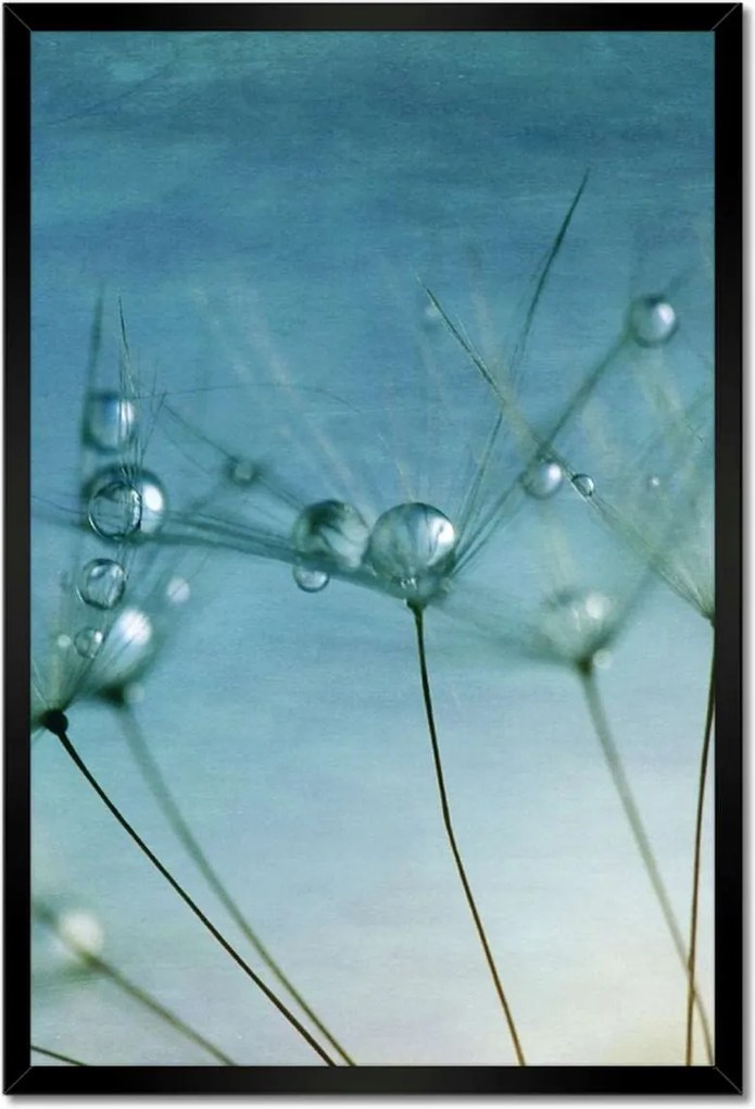 Poszterek keretben 40x60 Pitypang Virág Virágok