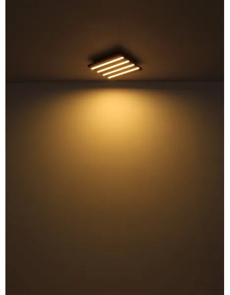 Globo 67347D2 - LED mennyezeti lámpa HAYDEN LED/30W/230V 3000K 45x45 cm