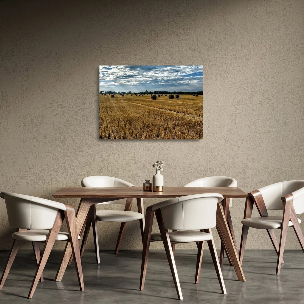 Betakarított gabona mező képe (üvegen) (70x50 cm)