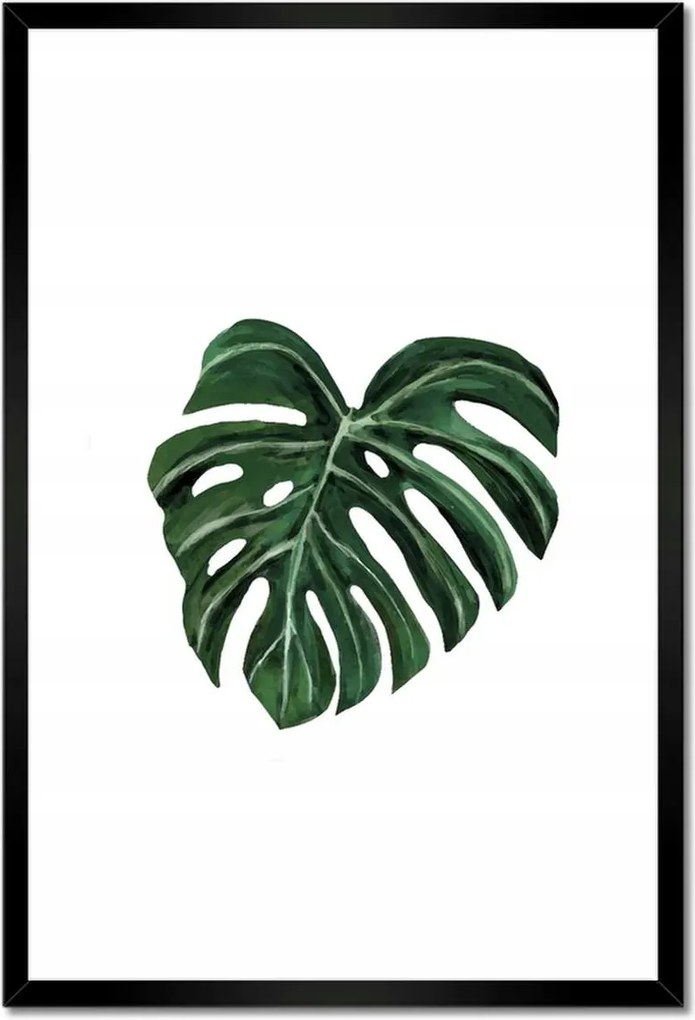 Poszterek keretben 40x60 Monstera deliciosa Levél