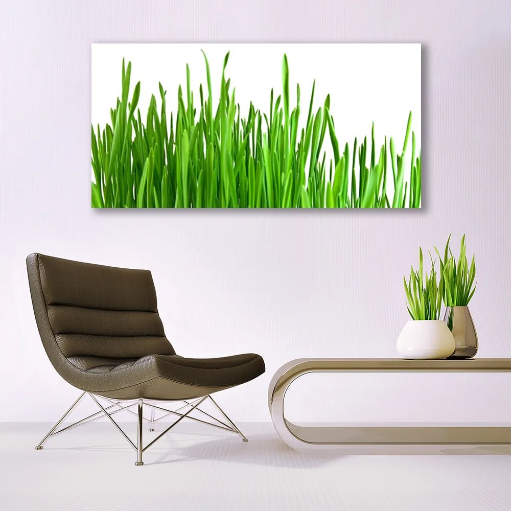 Üvegkép Grass Nature Plant 120x60cm