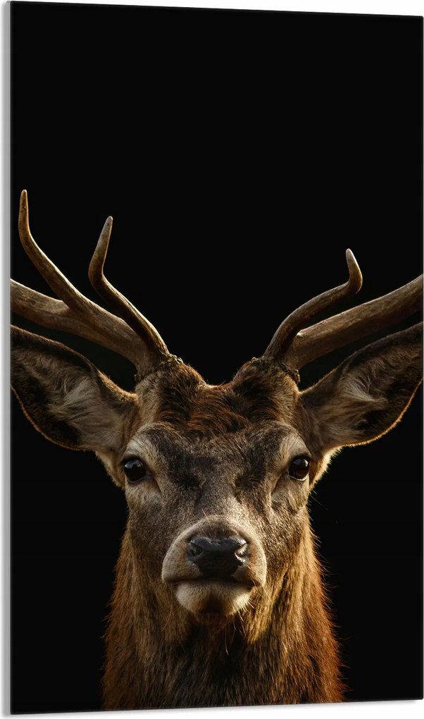 Üveg Vágódeszka 30x52 Szarvas a Konyhába