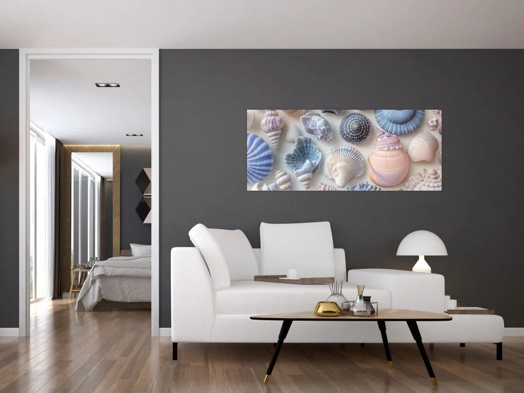 Kép - Kagylógyűjtemény (120x50 cm)