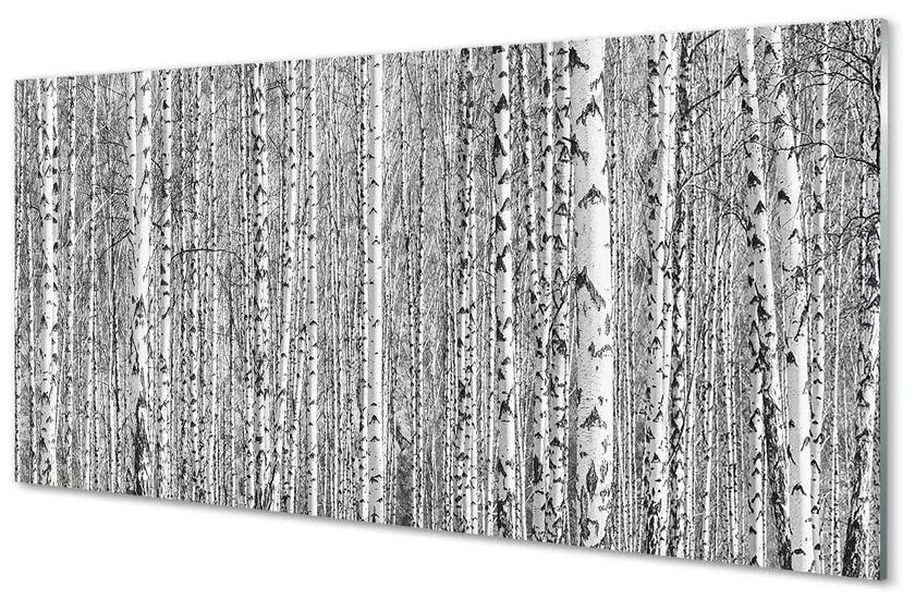 Üvegképek Fekete-fehér fa erdő 100x50 cm