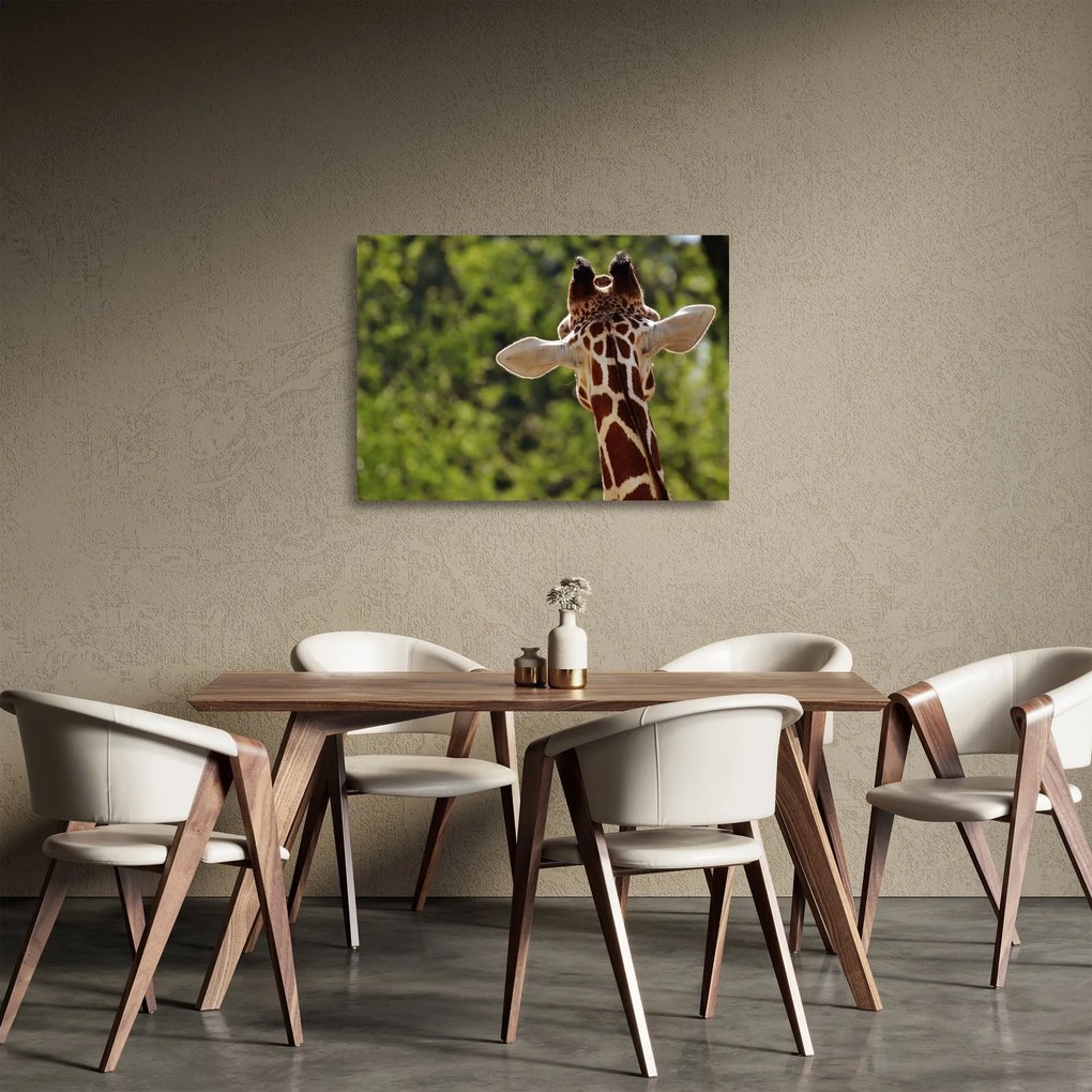 A zsiráf képe hátulról (üvegen) (70x50 cm)