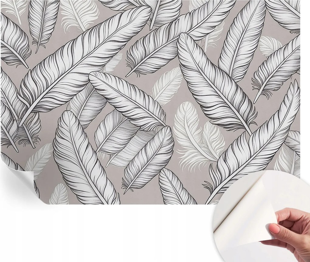 Fotótapéta Fali tapéta Hálószobába és Nappaliba Finom tollak 152x104 cm