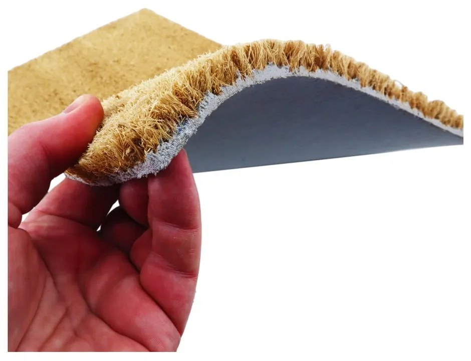 Kókuszrost lábtörlő 40x60 cm Probably At The Gym – Artsy Doormats