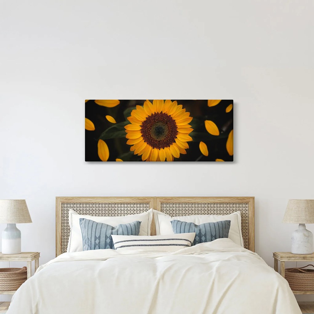 Kép - Napraforgók és a virágszirmok (120x50 cm)
