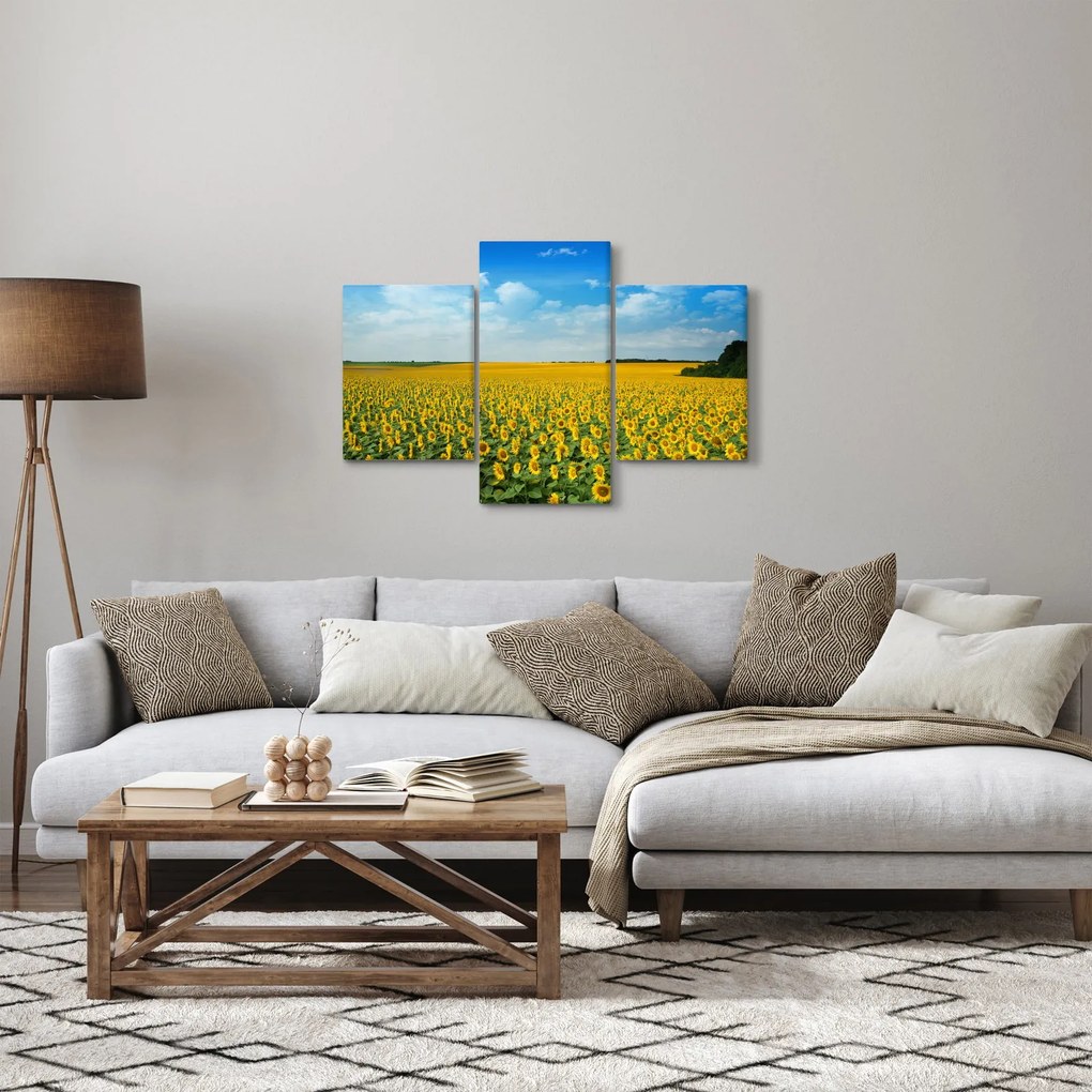 Kép - napraforgó (90x60 cm)