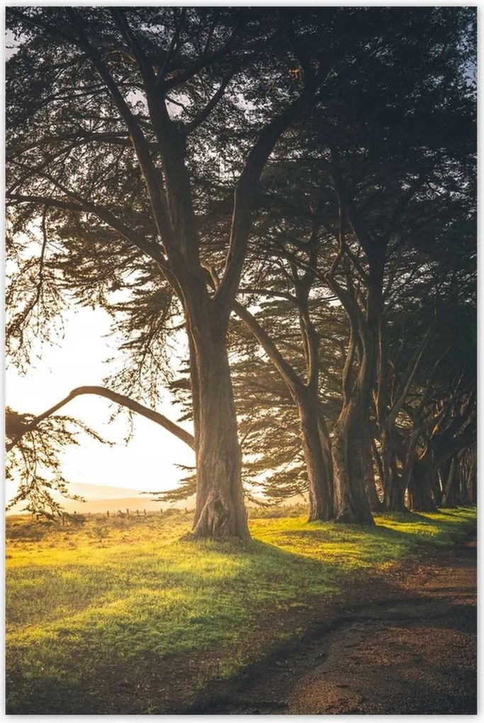 Poszterek 80x120 Tájkép Látvány